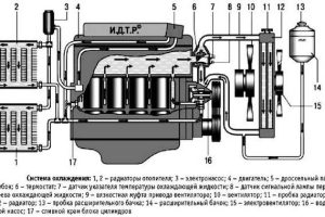 Система охлаждения ЗМЗ 409