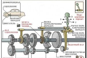 Как заставить колеса вращаться: механическая коробка передач