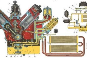 Какое различие между маслом 5w40 и 10w40: сравнительная характеристика