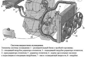 Самостоятельная замена водяного насоса на автомобиле Ford Focus