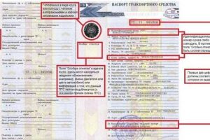 ПТС автомобиля: главный документ «железного коня»