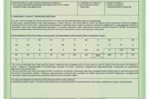 Получение автомобильной международной страховки — Green Card