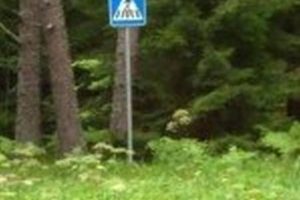 Действие дорожных знаков