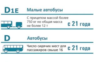 Виды категории Д