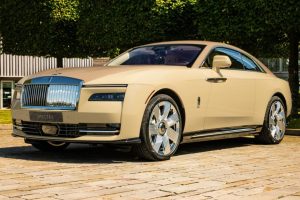 Уникальный Rolls-Royce Spectre Bailey: щенячий восторг