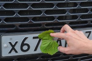 Надоело: можно ли без особых причин поменять госномер своего авто