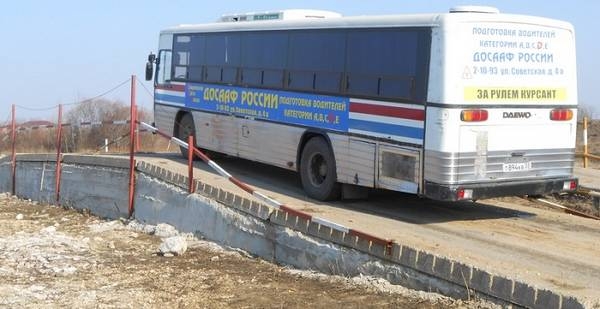 Виды категории Д